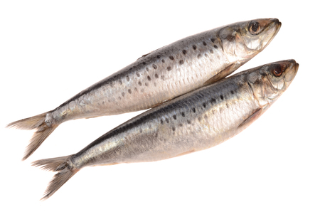 fresh herring isolated on a white backgroundの写真素材