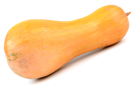 fresh pumpkin isolated on white backgroundの写真素材