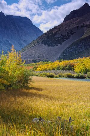 North Fork Bishop Creek, Sierra Nevada, Californiaの写真素材