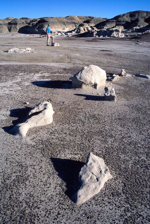 Badlands, Bisti Wilderness, New Mexico