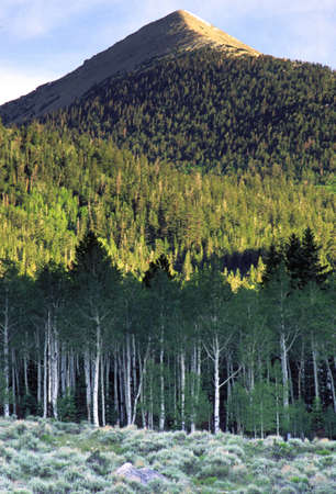 Great Basin National Park and Mount Moriah Wilderness, Snake Range, Nevadaのeditorial素材