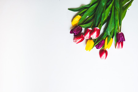 Women`s day background with spring flowers on white.Cornerの写真素材