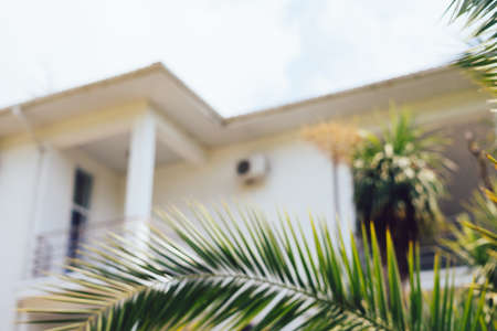 Summer vacations white blurred villa background with palm trees, vintage summerの写真素材