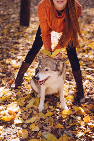 a girl in an orange sweater is smiling in the middle of autumn foliage with her dogの写真素材