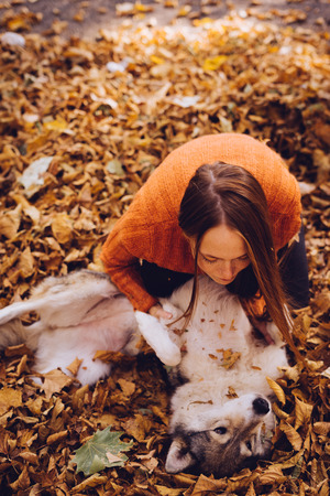 young red-haired girl is playing with her big dog in a pile of fallen autumn leavesの写真素材