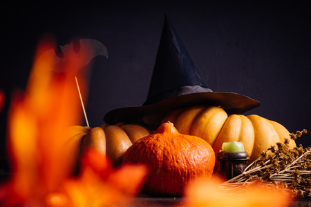 Halloween holidays art design, celebration. Halloween Pumpkins with a witch hat and orange autumn...