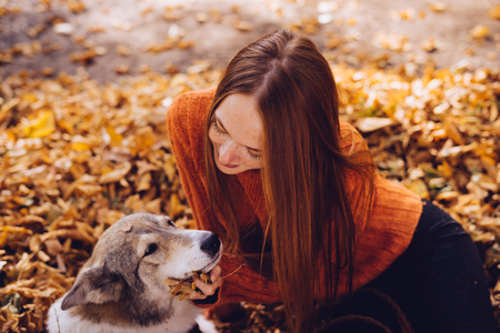 young sexy red-haired girl is walking with her dog in the park, in a pile of fallen autumn leavesの写真素材