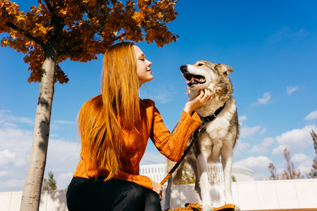 young cute red-haired girl walking with her dog in the park, sitting on a wooden benchの写真素材