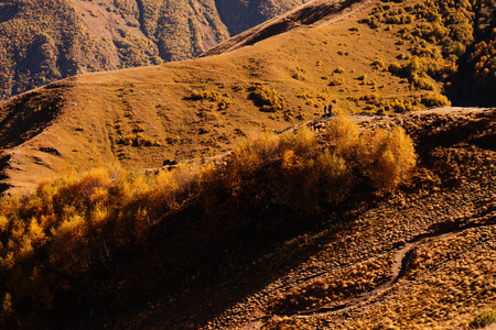 view of the autumn nature, the Caucasus mountains, yellow trees and plants