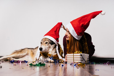 a girl sits on the floor with her dog, a festive New Year's atmosphere, a golden tinsel and a gift, in red caps like Santa'sの写真素材