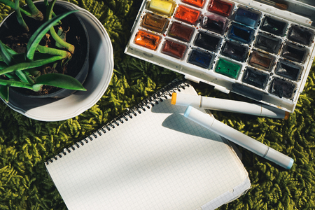 on a green carpet is a white notebook and artistic watercolor paint, a green plant in a potの写真素材