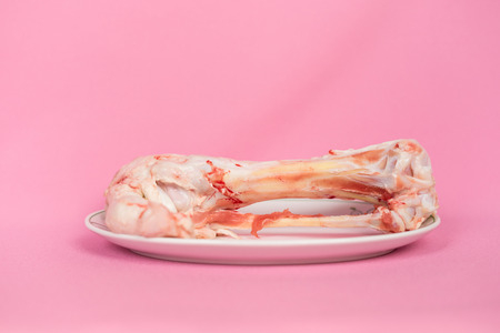 bone stands on a plate on a white backgroundの写真素材