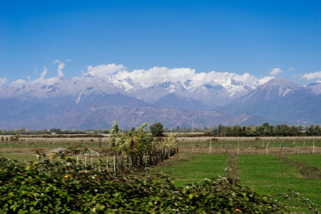 boundless green fields and meadows, many plants and trees against the backdrop of majestic high mountainsの写真素材