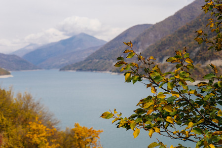 The magic nature, high majestic mountains and blue water, many treesの写真素材