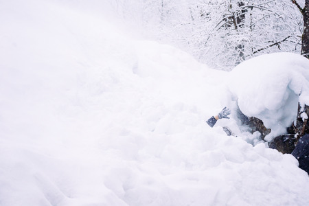 a large snowdrift on the background of a winter forestの写真素材