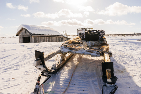 Hunting dog sleigh on the background of an old barn in the middle of a snowy desertの写真素材