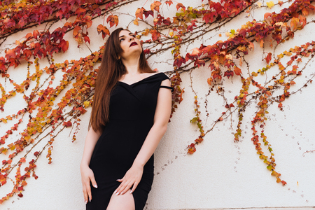 sexy attractive girl in black dress posing against wall in park, enjoying restの写真素材