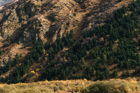 magic enchanting nature, majestic mountain slopes are covered with green treesの写真素材