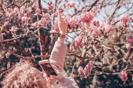 curly woman walking through the spring park, photographing the fragrant pink magnoliaの写真素材