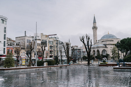 ISTANBUL, TURKEY - FEBRUARY 15, 2020: Istanbul winter a day.のeditorial素材