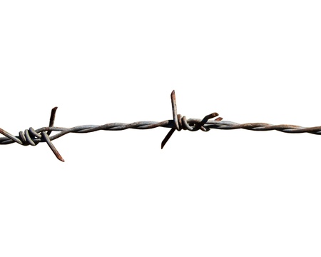 Barbed wire on a white background.の写真素材