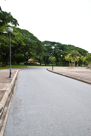 Roads in the park.の写真素材