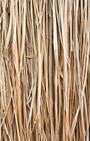 Walls made ââof dry grass.の写真素材