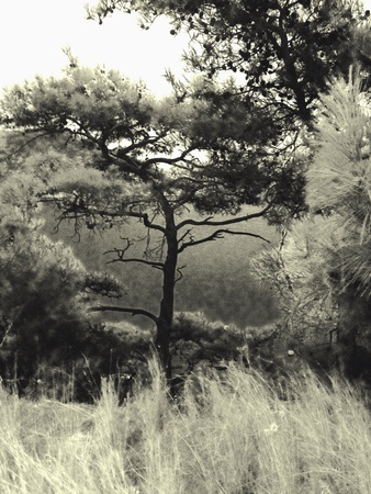 Summer Storm in istanbulの素材