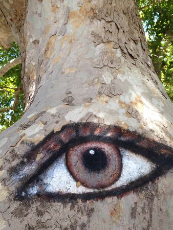 Eye son tree in Rhodos の素材