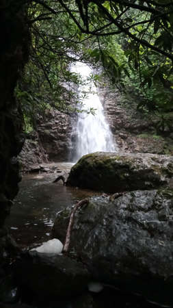 Waterfall in the forest. Beautiful waterfall in the forest. Waterfall in the forest.
