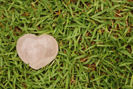 Heart on grassの写真素材