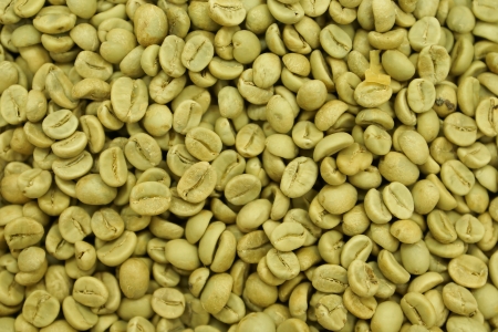 green bean coffeeの写真素材