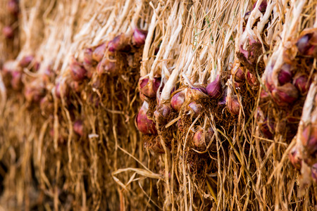 Shallot warehouse
