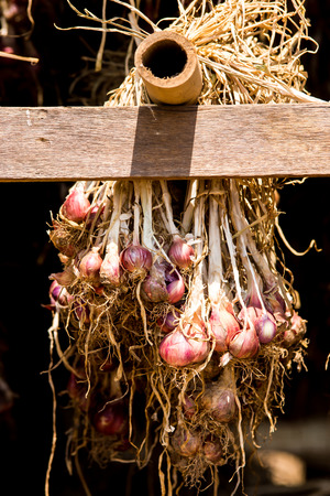 Shallot warehouseの写真素材