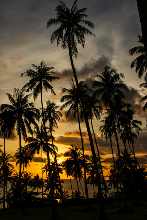 Sunset at Koh Kood Islandの写真素材