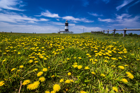 Cape Notoroの写真素材