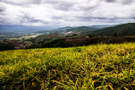 Maejam Chiangmai