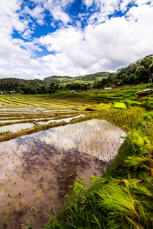 Maeklangloung Chiangmaiの写真素材