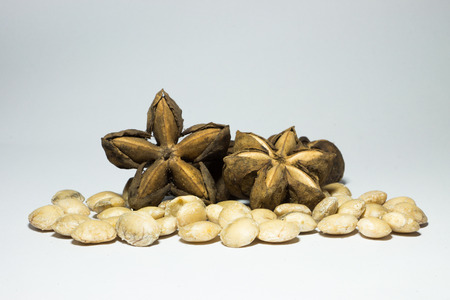 Sacha inchi seeds and nutsの写真素材