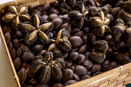 sacha inchi seedsの写真素材