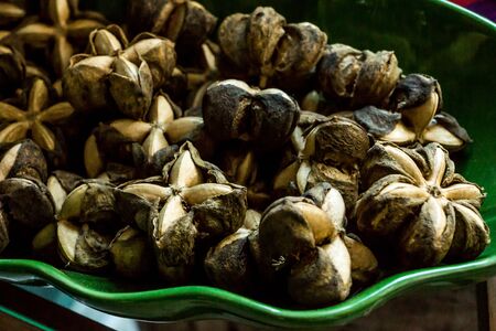 sacha inchi seedsの写真素材