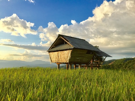 Step rice field with cottageの素材