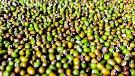 Macro shot of mung bean on a plain surfaceの写真素材