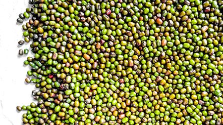 Macro shot of mung bean on a plain surfaceの写真素材