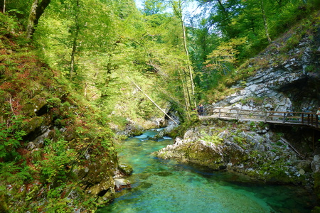 Vintgar gorge with wooden walkway and river Radovna flowing through it near to Bled lake, Slovenia, Europeの写真素材