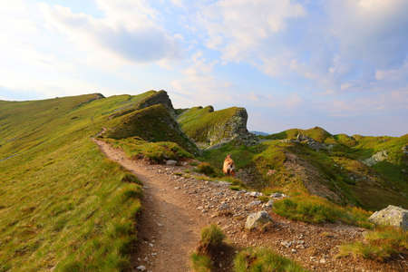 Vital tatra chamois, rupicapra rupicapra tatrica, climbing rocky hillside in mountains. Wild mammal looking in High Tatras national park, Slovakia, Europeの写真素材