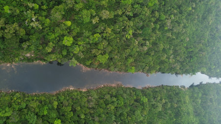 Spectacular view of Tatai Waterfall, located in the lush rainforest of Koh Kong Province, Cambodia....