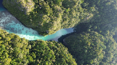 High-angle drone view of Aljui Bay, a tranquil and remote bay in Raja Ampat known for its dramatic karst cliffs and rich marine biodiversity.の写真素材