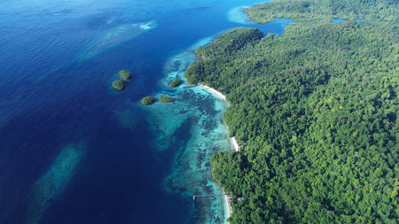 Aerial drone photo of Beser Bay in Raja Ampat, showing clear turquoise water, coral reefs, and lush tropical coastline in West Papua, Indonesia.の写真素材