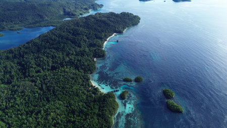 Aerial drone photo of Beser Bay in Raja Ampat, showing clear turquoise water, coral reefs, and lush tropical coastline in West Papua, Indonesia.の写真素材